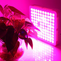 led panel grow light 600w wenyi